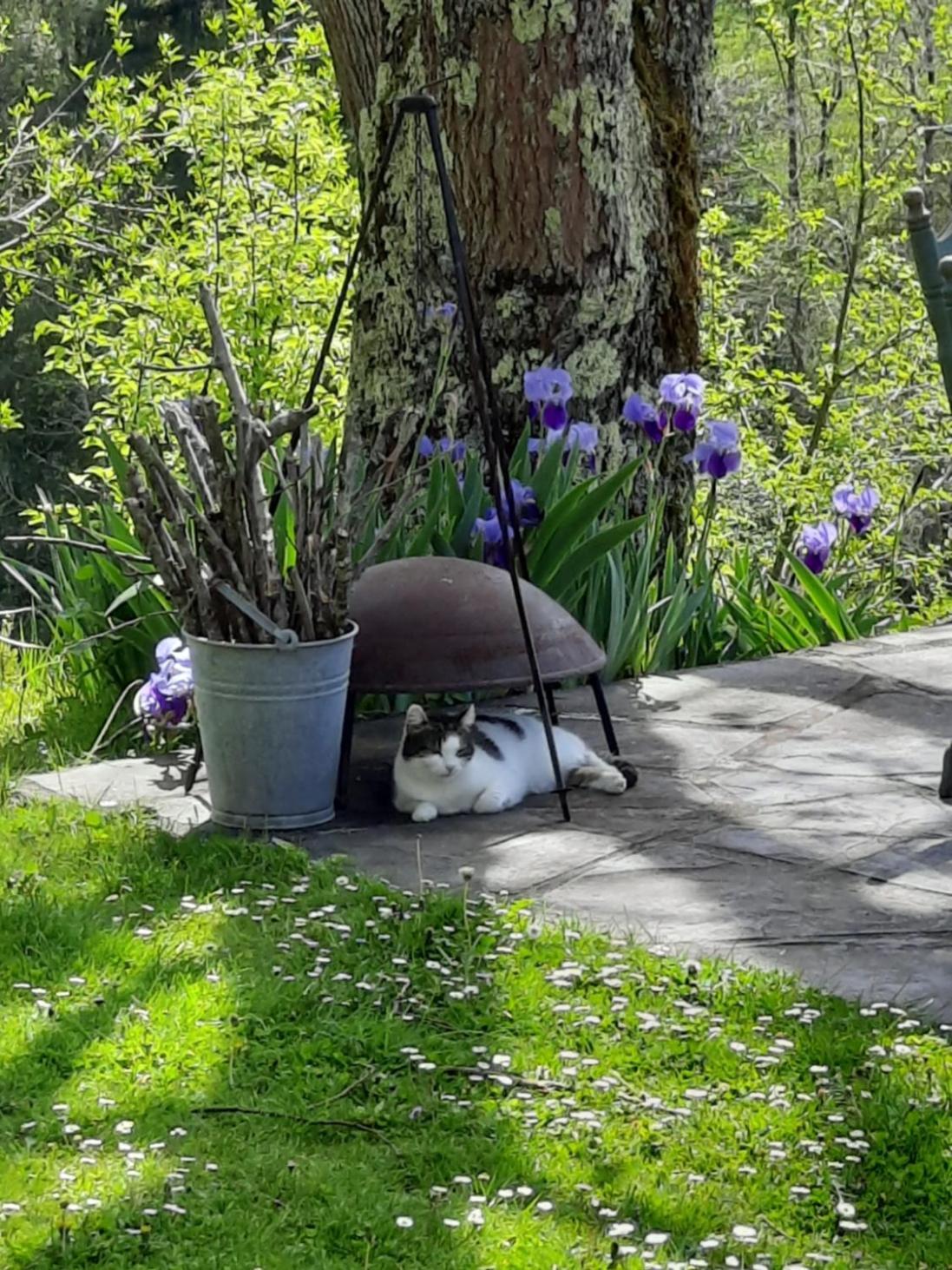 Bed and Breakfast Biert La Coume, Tweepersoonsbed Zewnętrze zdjęcie
